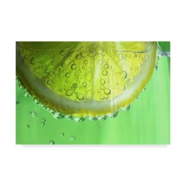 Dana Brett Munach 'Lemon Slice' Canvas Art, 12x19, Trademark Fine Art, Mfr#: ALI20946-C1219GG